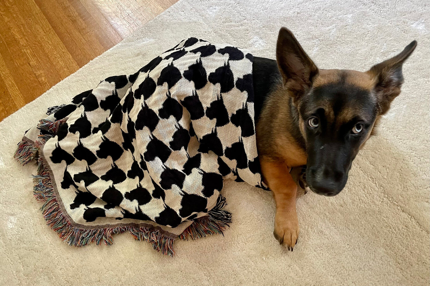 Custom Pet Blanket Gift for Dog Memorial Houndstooth Pattern Personalized for FRENCH BULLDOG 100% Cotton Pet Memory Blanket Made in the USA