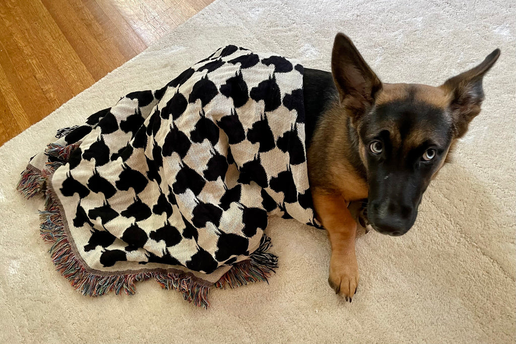 Custom Pet — Memory Blanket