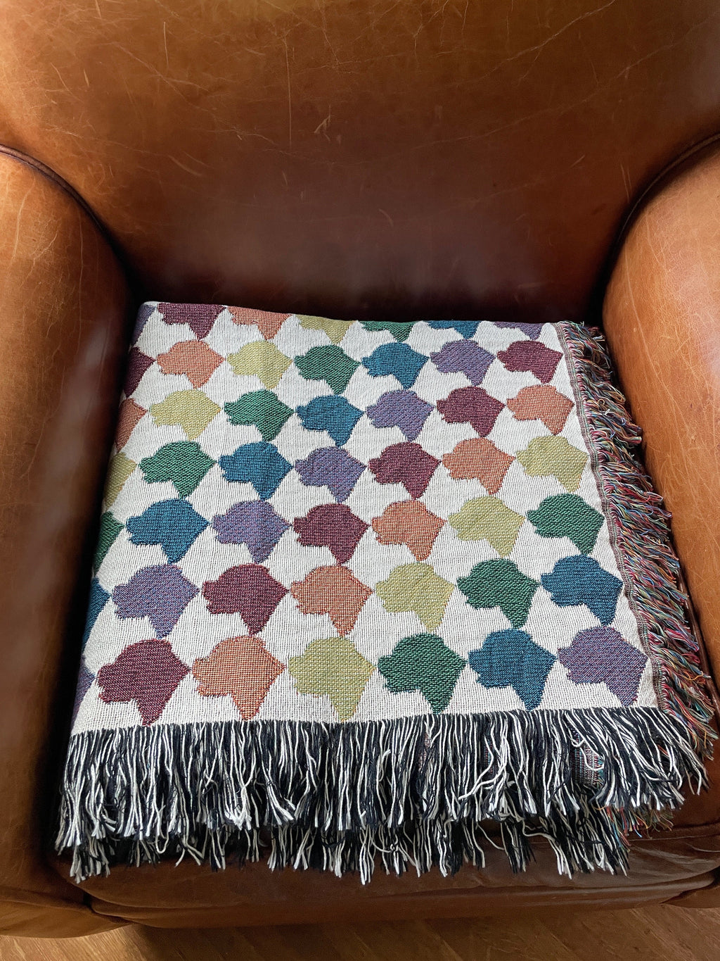 Custom Pet — Woven Blanket
