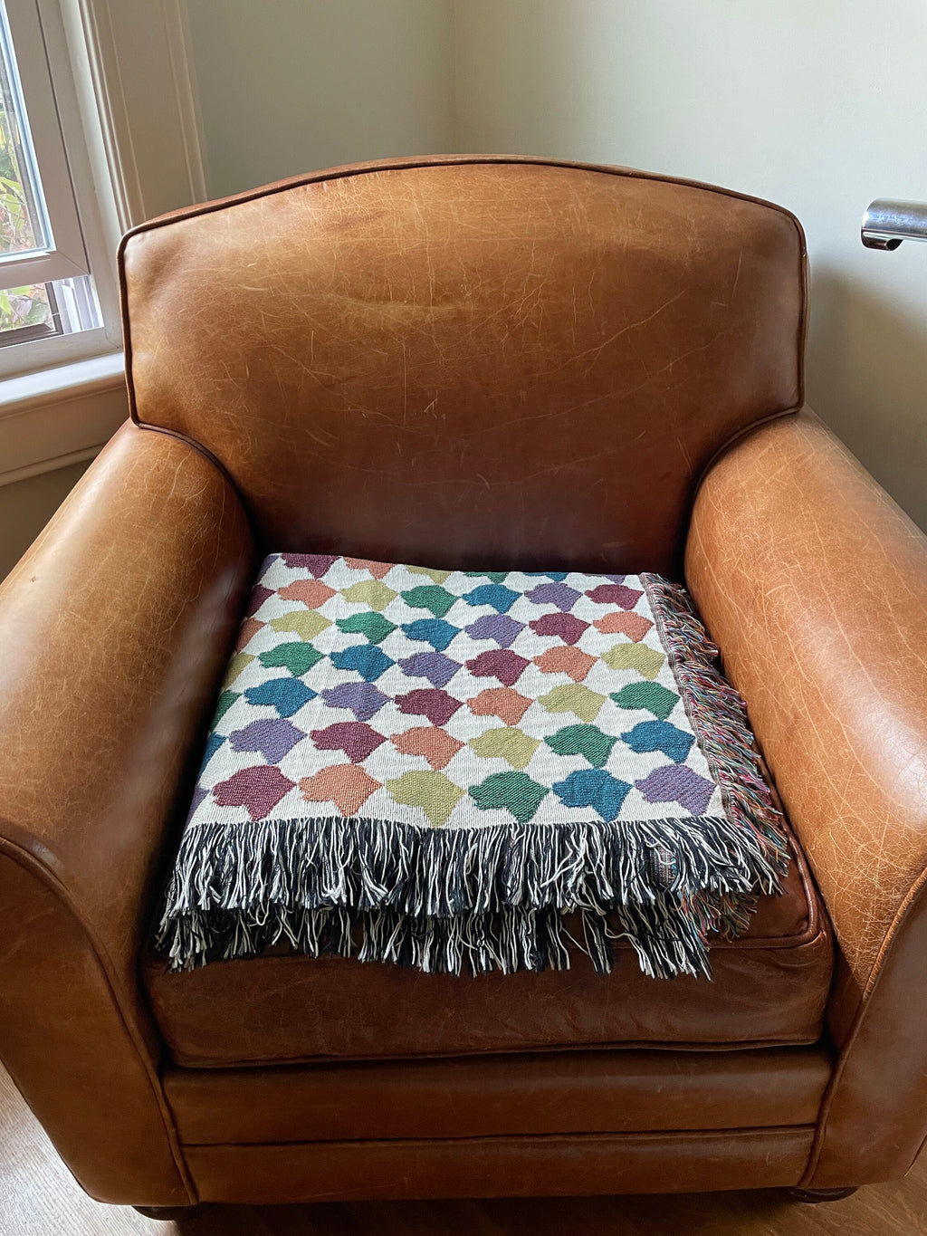 Custom Pet — Woven Blanket
