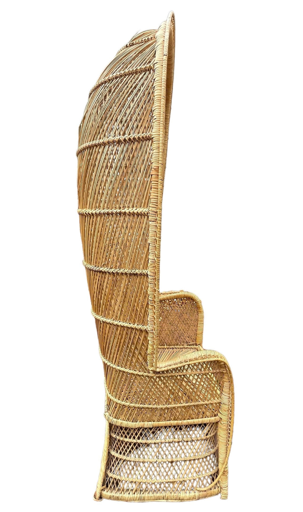 Peacock Chair — Rattan