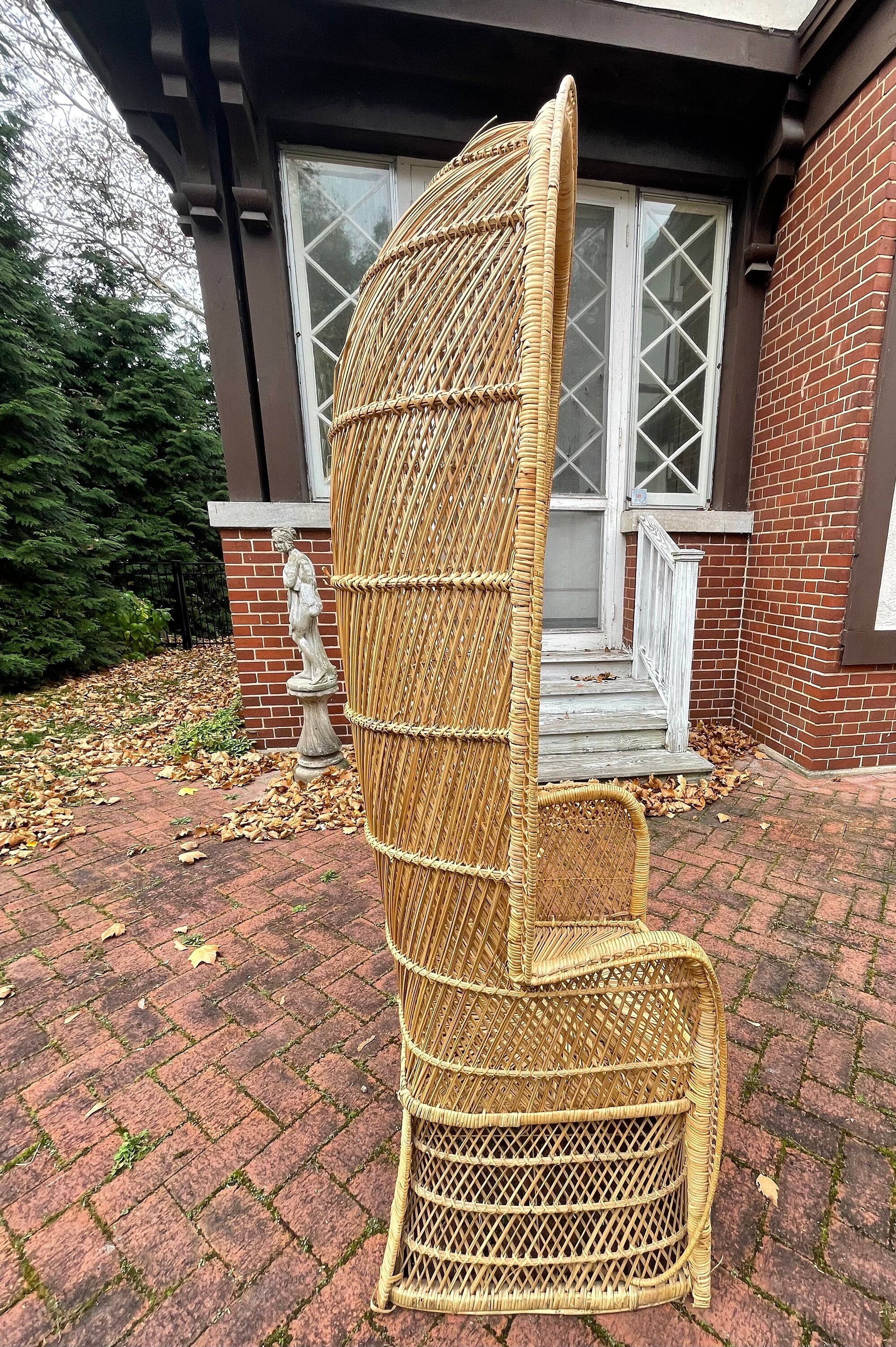 Peacock Chair — Rattan
