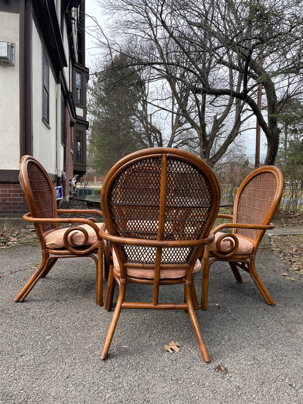 Peacock Chairs — Rattan Pair